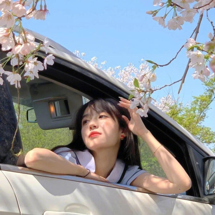 吉田俊司 - 悬疑剧集完整在线观看 - 网络观影